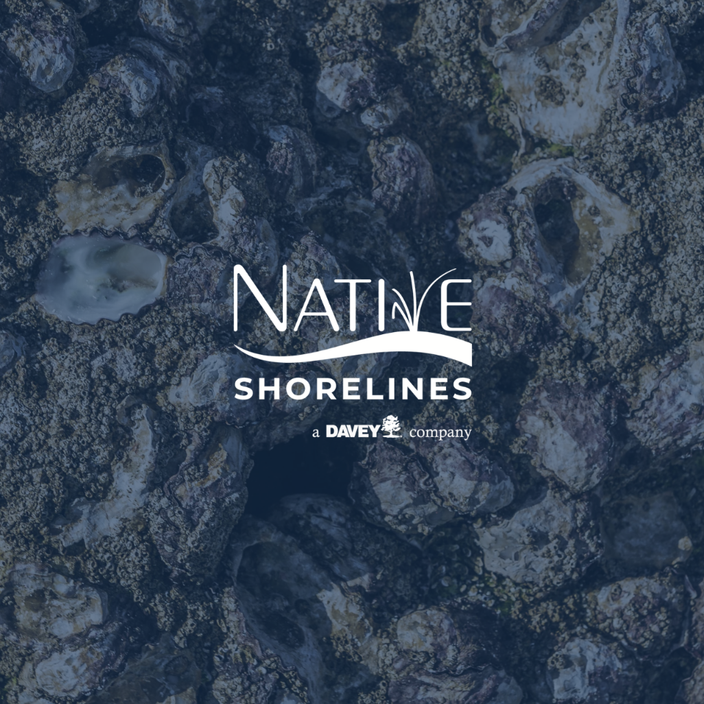 Partner Takeover: Native Shorelines